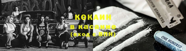 гидра Козловка
