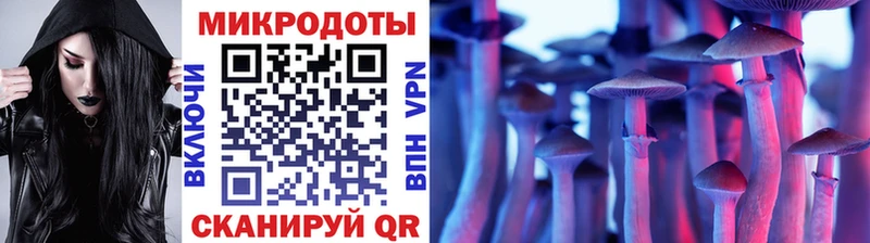 Псилоцибиновые грибы Cubensis  Купить  Новочебоксарск 